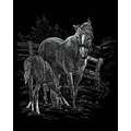 Royal & Langnickel® | Engraving Art™ Scratch Pictures — standard-sets, Mare & foal, 25,4 cm x 20,3 cm, set, 2. Zilverfolie
