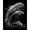 Royal & Langnickel® | Engraving Art™ Scratch Pictures — standard-sets, Dolphins, 25,4 cm x 20,3 cm, set, 2. Zilverfolie
