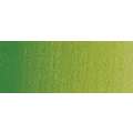 WINSOR & NEWTON™ | PROFESSIONAL™ aquarelverf, 1/2 napje, Permanent sap green