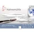 Hahnemühle | Harmony aquarelpapier, ruw, DIN A4, 21 cm x 29,7 cm, 300 g/m², blok (vierzijdig gelijmd)