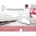 Hahnemühle | Expression aquarelpapier, 24 cm x 30 cm, mat, 300 g/m², blok (vierzijdig gelijmd)