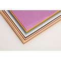 CLAIREFONTAINE TULIPE knutselpapier, 24-delig assortiment: pastelkleuren, 50 cm x 65 cm, 160 g/m², glad|grof