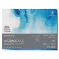 WINSOR & NEWTON™ | PROFESSIONAL™ aquarelpapier, 22,9 cm x 30,5 cm, fijn, 300 g/m², Blok met 20 vel