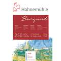 Hahnemühle Burgund aquarelblok 250 g/m², 17 cm x 24 cm, blok (vierzijdig gelijmd), 250 g/m², ruw