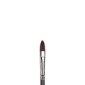 WINSOR & NEWTON™ | GALERIA penseel kattentong — synthetisch, 8, 10,00