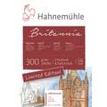 Hahnemühle | Britannia aquarelblok — Limited Edition, 17 cm x 24 cm, 300 g/m², mat