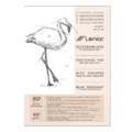 Leniar® | Schetsblok — crêmekleurig papier, DIN A5, 14,8 cm x 21 cm, 60 g/m², mat, 1. Blok (kopsgelijmd) met 50 vel