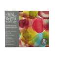 WINSOR & NEWTON™ | PROFESSIONAL™ aquarelverf — 6-sets, 6 kleuren — Mindful colours, set
