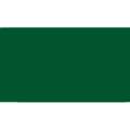 Pentel | POINTLINER Colour Dye S40 pens — individual, Green, 0,4 mm, pen / potlood,  los