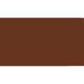 Pentel | POINTLINER Colour Dye S40 pens — individual, Walnut brown, 0,4 mm, pen / potlood,  los