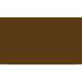 Pentel | POINTLINER Colour Dye S40 pens — individual, Brown, 0,4 mm, pen / potlood,  los