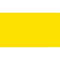 Pentel | POINTLINER Colour Dye S40 pens — individual, Yellow, 0,4 mm, pen / potlood,  los
