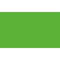 Pentel | POINTLINER Colour Dye S40 pens — individual, Bottle green, 0,4 mm, pen / potlood,  los