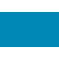 Pentel | POINTLINER Colour Dye S40 pens — individual, Turquoise, 0,4 mm, pen / potlood,  los
