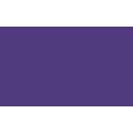 Pentel | POINTLINER Colour Dye S40 pens — individual, Violet, 0,4 mm, pen / potlood,  los