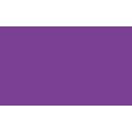 Pentel | POINTLINER Colour Dye S40 pens — individual, Royal purple, 0,4 mm, pen / potlood,  los