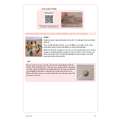 morepic-5