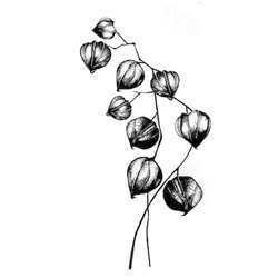 Lavinia Stamps | Chinese Lantern motiefstempel