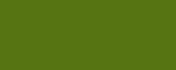 MOLOTOW™ PREMIUM BELTON spuitbus, 400 ml, Fern green 164