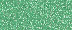 Javana Texi Mäx glitterstift, groen