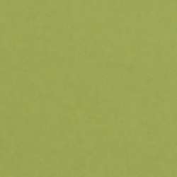 LANA Colours artist`s paper, 50 x 65 cm, vel, Sap green