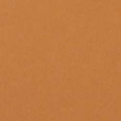 LANA Colours artist`s paper, 50 x 65 cm, vel, Brown