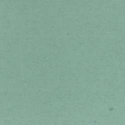 CLAIREFONTAINE Ingres pastelpapier, 50cmx65cm, Watergreen