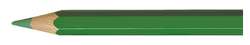 CARAN d'ACHE® | Prismalo aquarelpotloden, Colour, grasgroen
