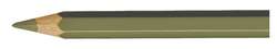 CARAN d'ACHE® | Pablo kleurpotloden los, olijfzwart