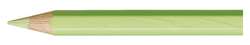CARAN d'ACHE® | Prismalo aquarelpotloden, Colour, lindegroen
