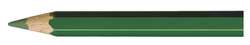 CARAN d'ACHE® | Pablo kleurpotloden los, dennengroen