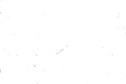 JAXON® oliepastelkrijt los, White