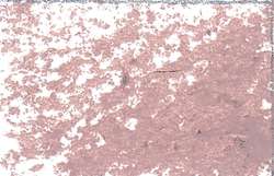 JAXON® oliepastelkrijt los, Grey pink