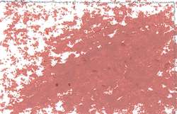 JAXON® oliepastelkrijt los, Pale brown