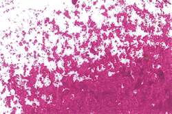 JAXON® oliepastelkrijt los, Rose red