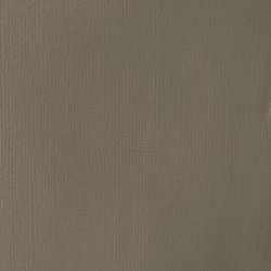 Neutral gray 5