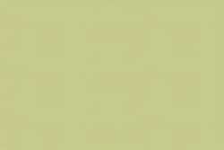 UNISON COLOUR | Handmade Soft Pastels — los ○ hele krijtjes (small), heel krijtje (small), Yellow green earth14