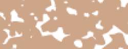 Talens | REMBRANDT softpastel, Engelsrood339.7