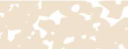 Talens | REMBRANDT softpastel, Sienna gebrand 411.10
