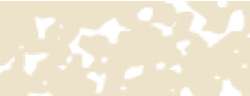 Talens | REMBRANDT softpastel, Gele oker 227.9