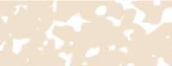 Talens | REMBRANDT softpastel, Sienna gebrand 411.9
