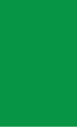 URSUS® Gekleurd papier & Fotokarton, 130 g/m2, 10 vellen, Grasgroen 058