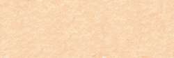 Flesh ochre 019