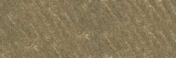 Olive grey 451