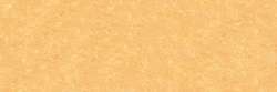 Orange lead 040