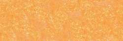 Orange lead 039