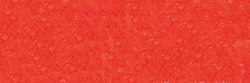 Coral 921