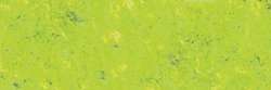 Apple green 205
