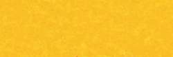 Cadmium yellow light 297