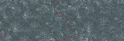 Blue grey 421